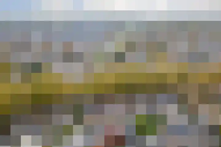 Groen van Prinstererlaan 59 Vlijmen thumbnail 44