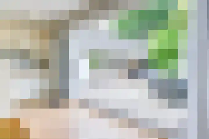 Groen van Prinstererlaan 6 Huizen thumbnail 12