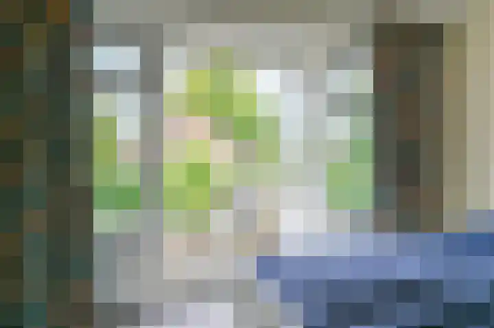 Groen van Prinstererlaan 6 Huizen thumbnail 17