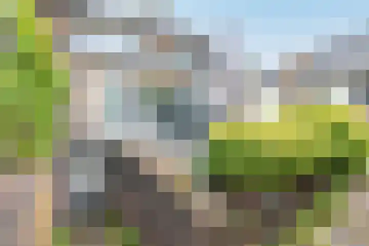 Groen van Prinstererlaan 6 Huizen thumbnail 33