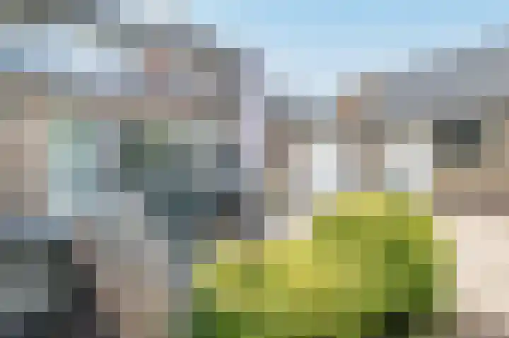 Groen van Prinstererlaan 6 Huizen thumbnail 38