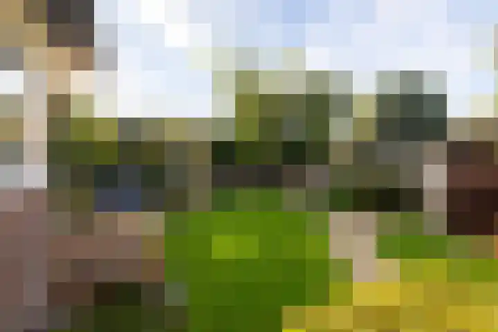 Groen van Prinstererlaan 7 Doetinchem thumbnail 26