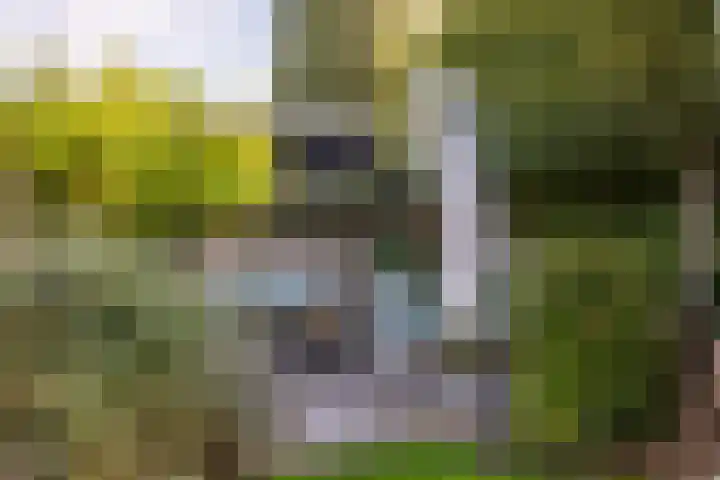 Groen van Prinstererlaan 7 Doetinchem thumbnail 28