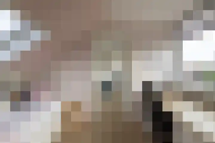 Groen van Prinstererlaan 7 Doetinchem thumbnail 51