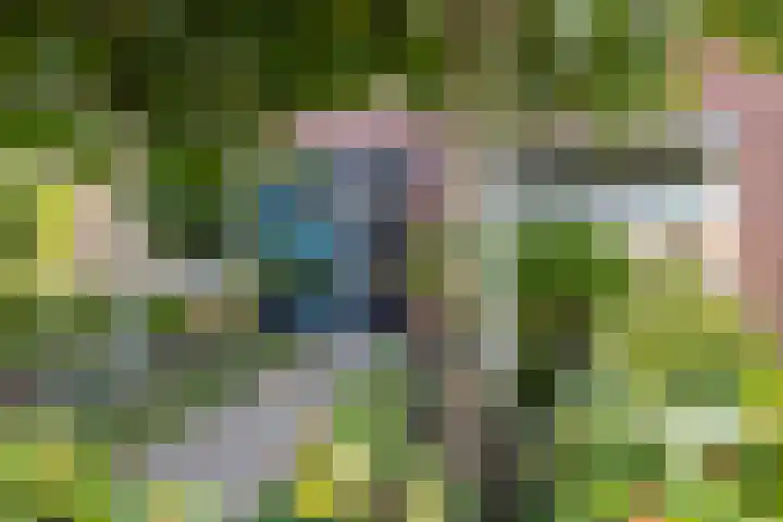 Groen van Prinstererlaan 7 Doetinchem thumbnail 52