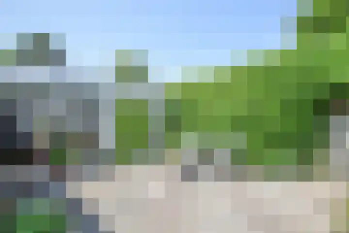 Groen van Prinstererlaan 70 's-Hertogenbosch thumbnail 36