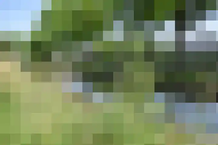 Groen van Prinstererlaan 70 's-Hertogenbosch thumbnail 47