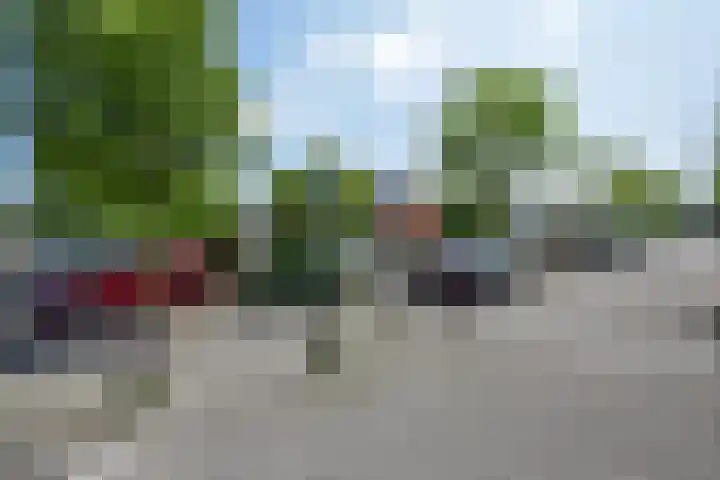 Groen van Prinstererlaan 70 's-Hertogenbosch thumbnail 6