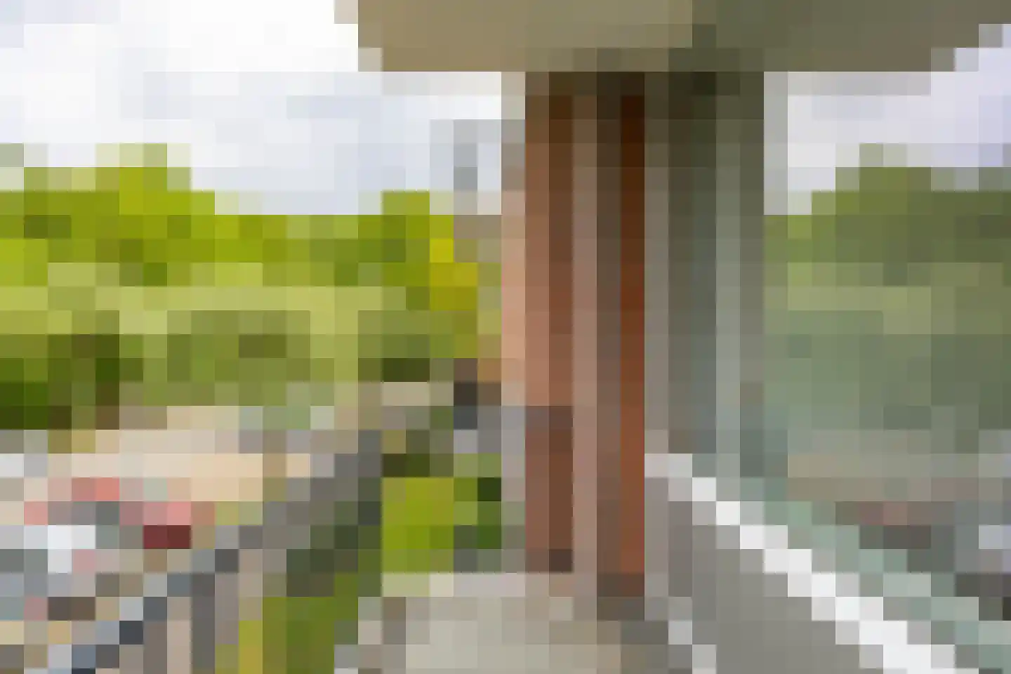 Groen van Prinstererlaan 75 Groningen thumbnail 11