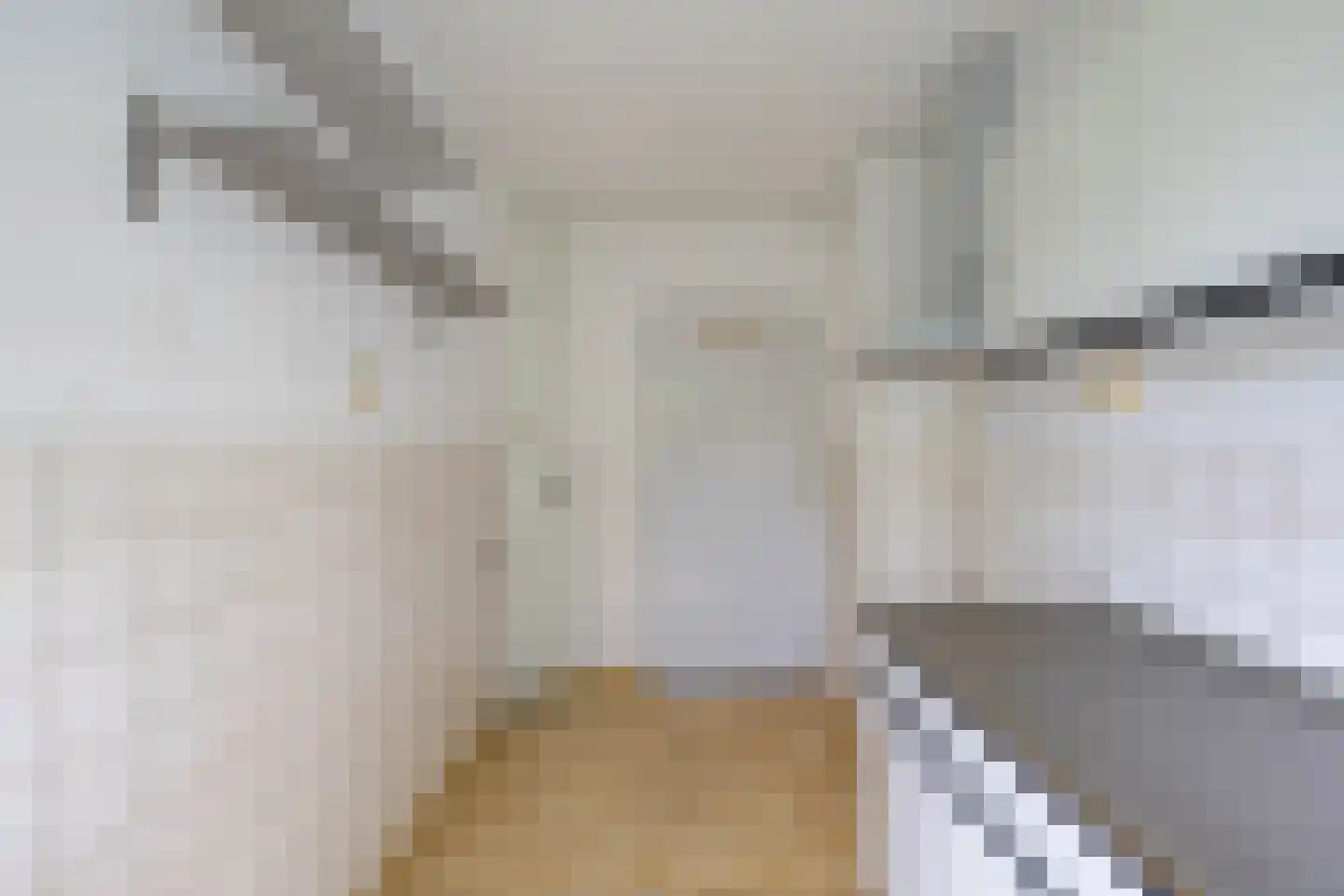 Groen van Prinstererlaan 75 Groningen thumbnail 13