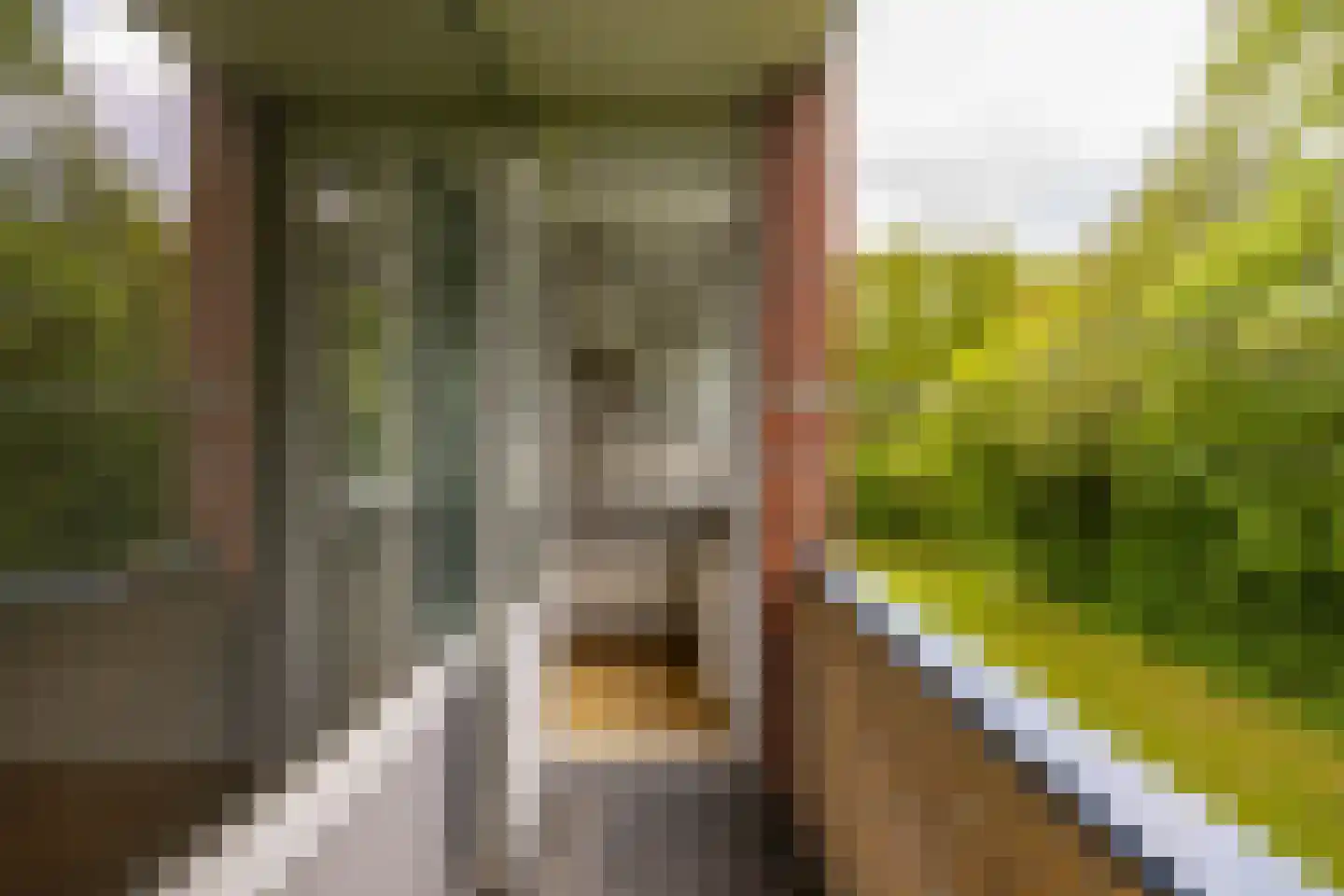 Groen van Prinstererlaan 75 Groningen thumbnail 16