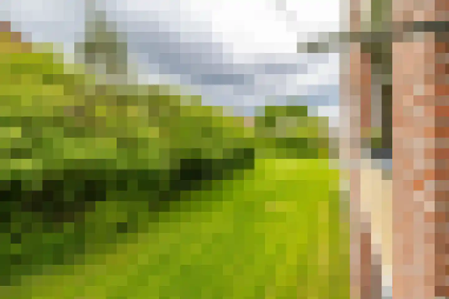 Groen van Prinstererlaan 75 Groningen thumbnail 17