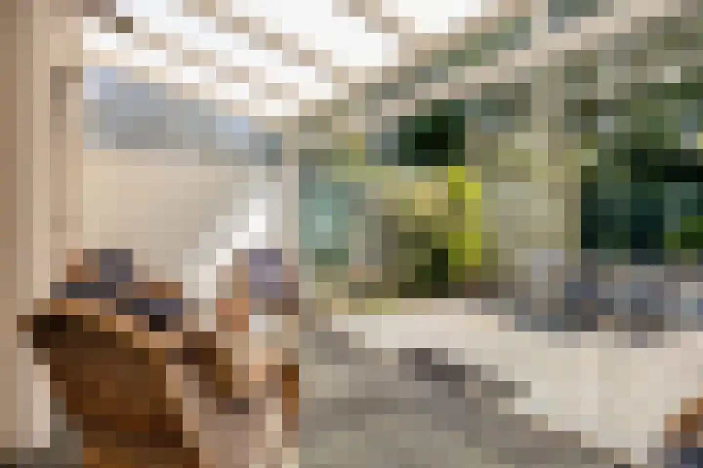 Groen van Prinstererlaan 78 's-Hertogenbosch thumbnail 20