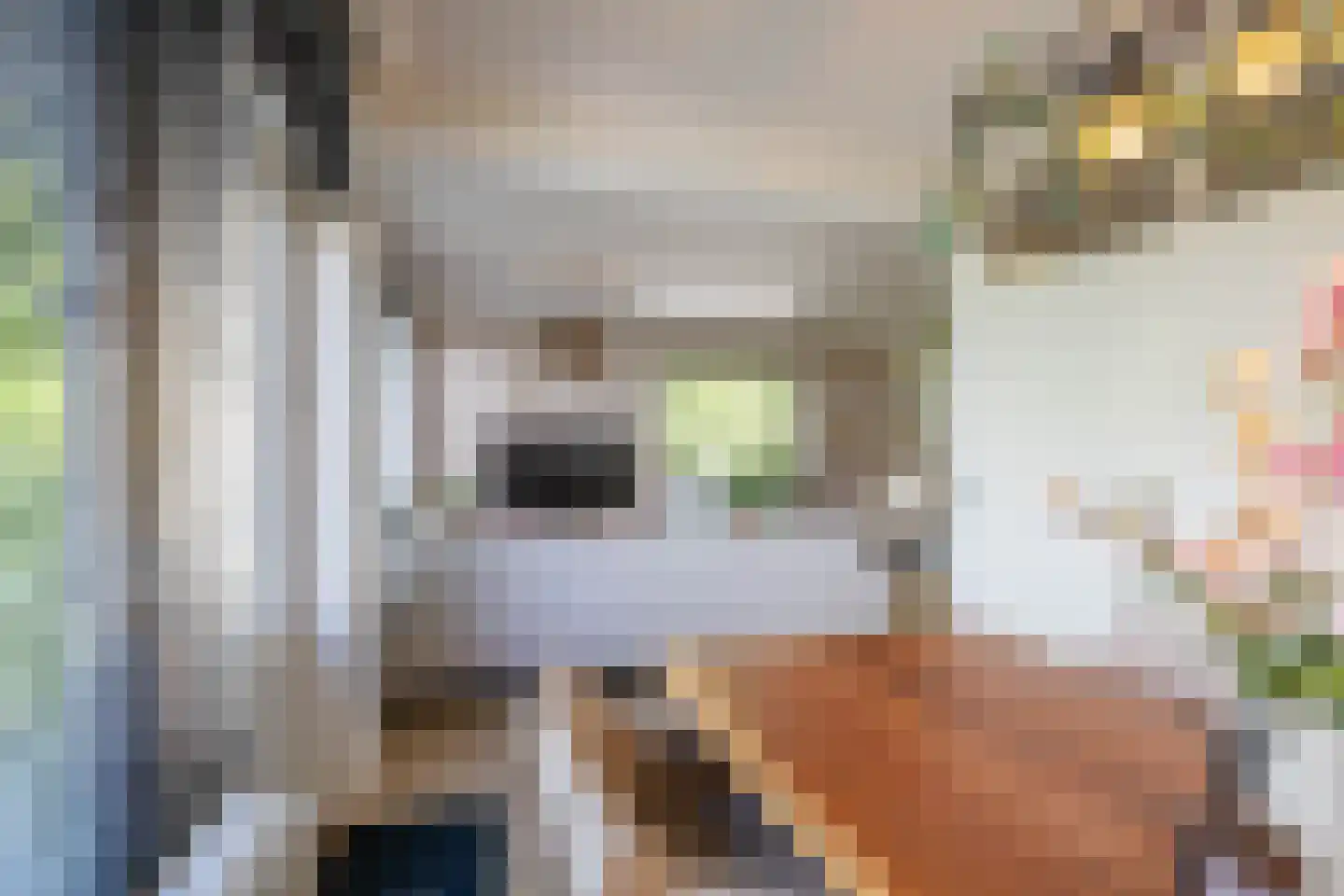 Groen van Prinstererlaan 89 Groningen thumbnail 18