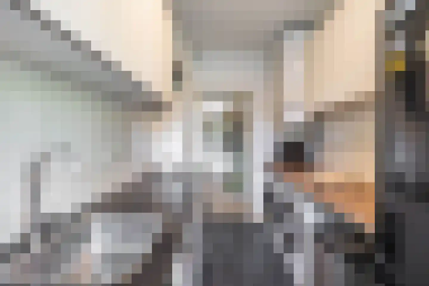 Groen van Prinstererlaan 89 Groningen thumbnail 20