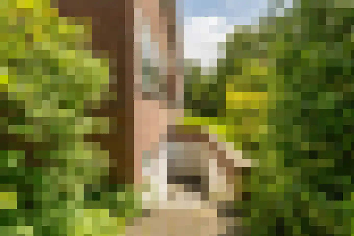 Groen van Prinstererlaan 89 Groningen thumbnail 34