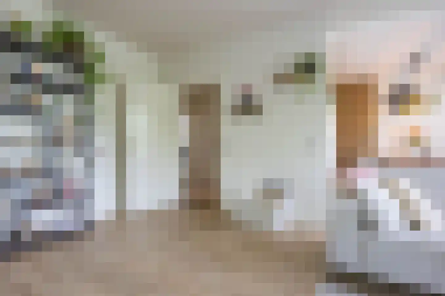 Groen van Prinstererlaan 89 Groningen thumbnail 9