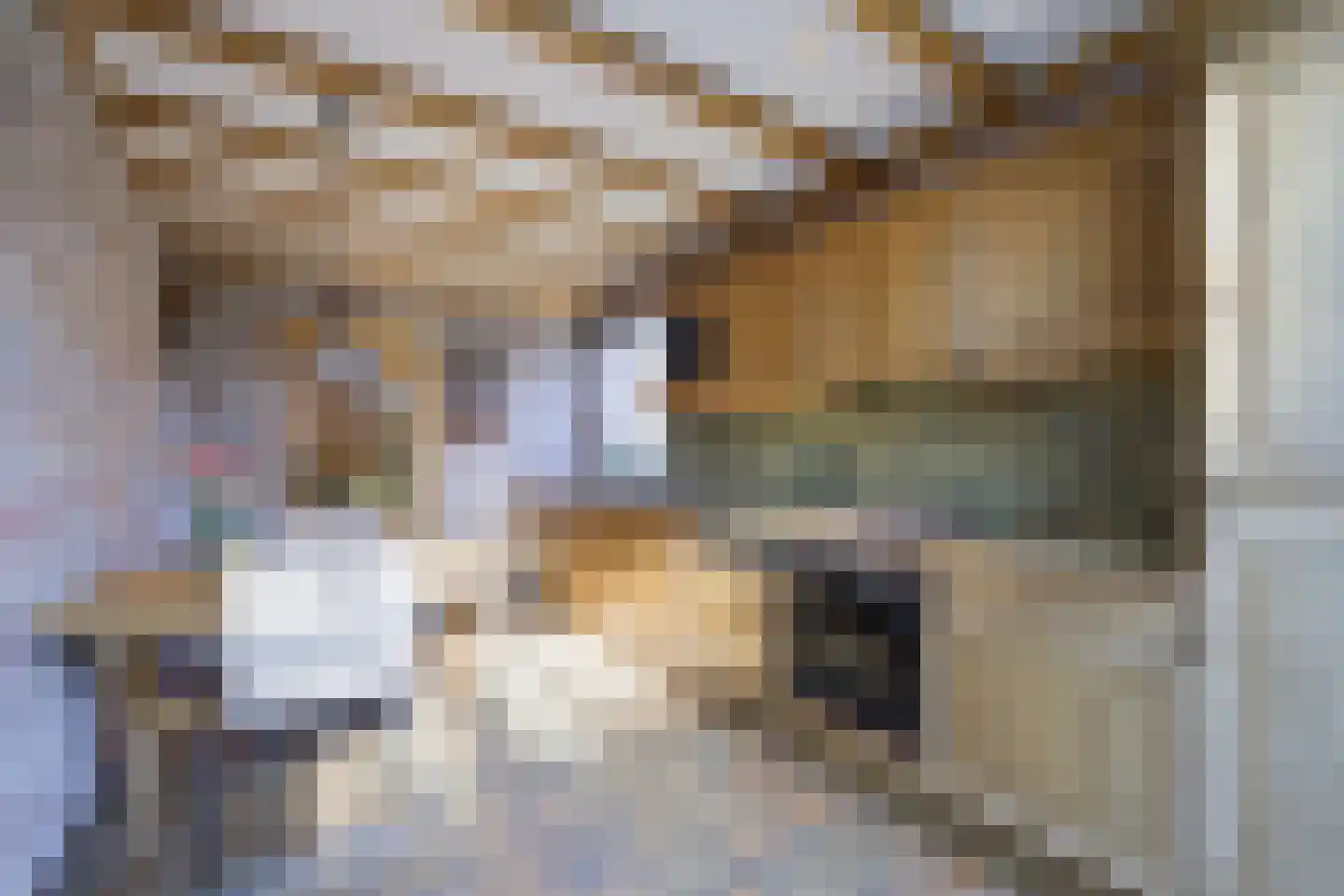 Groen van Prinstererlaan 9 Doetinchem thumbnail 16