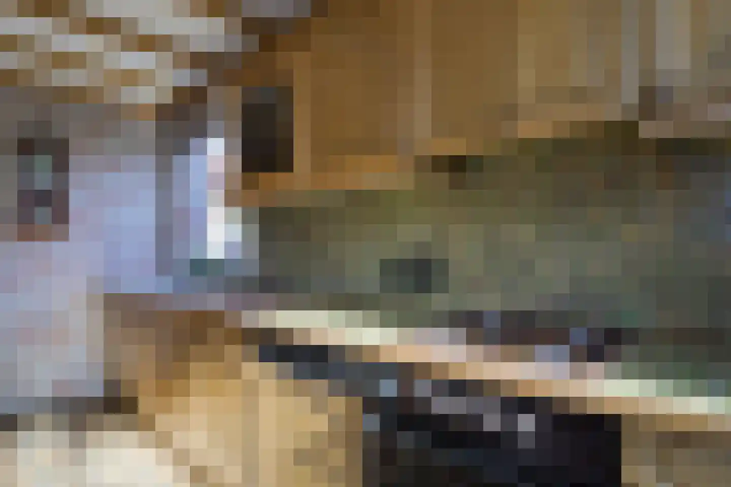 Groen van Prinstererlaan 9 Doetinchem thumbnail 17