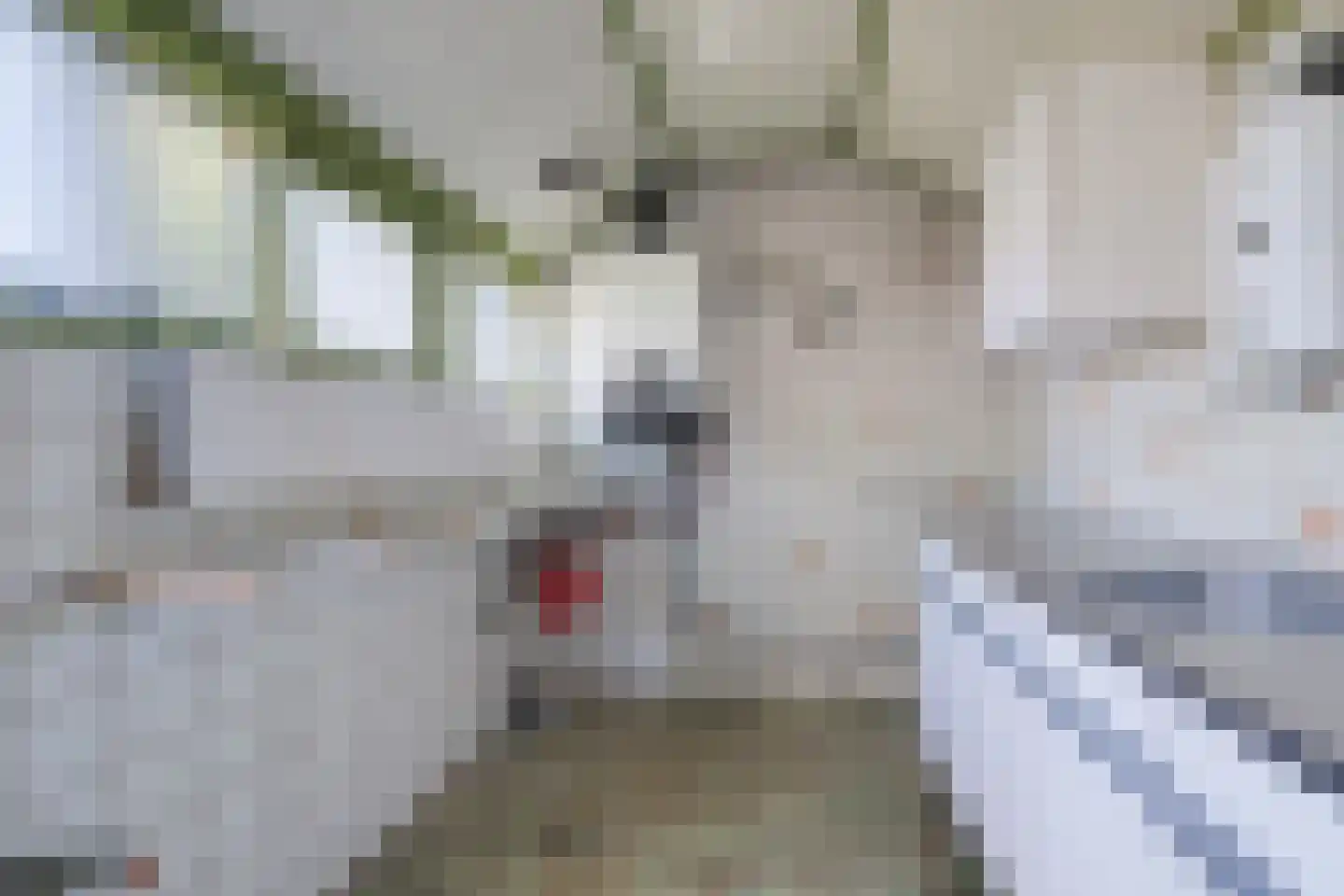 Groen van Prinstererlaan 9 Doetinchem thumbnail 33