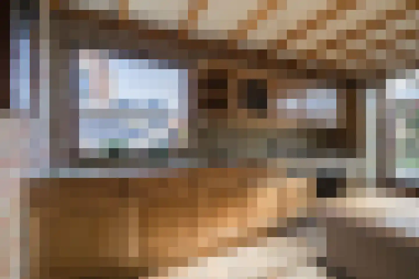 Groen van Prinstererlaan 9 Doetinchem thumbnail 4