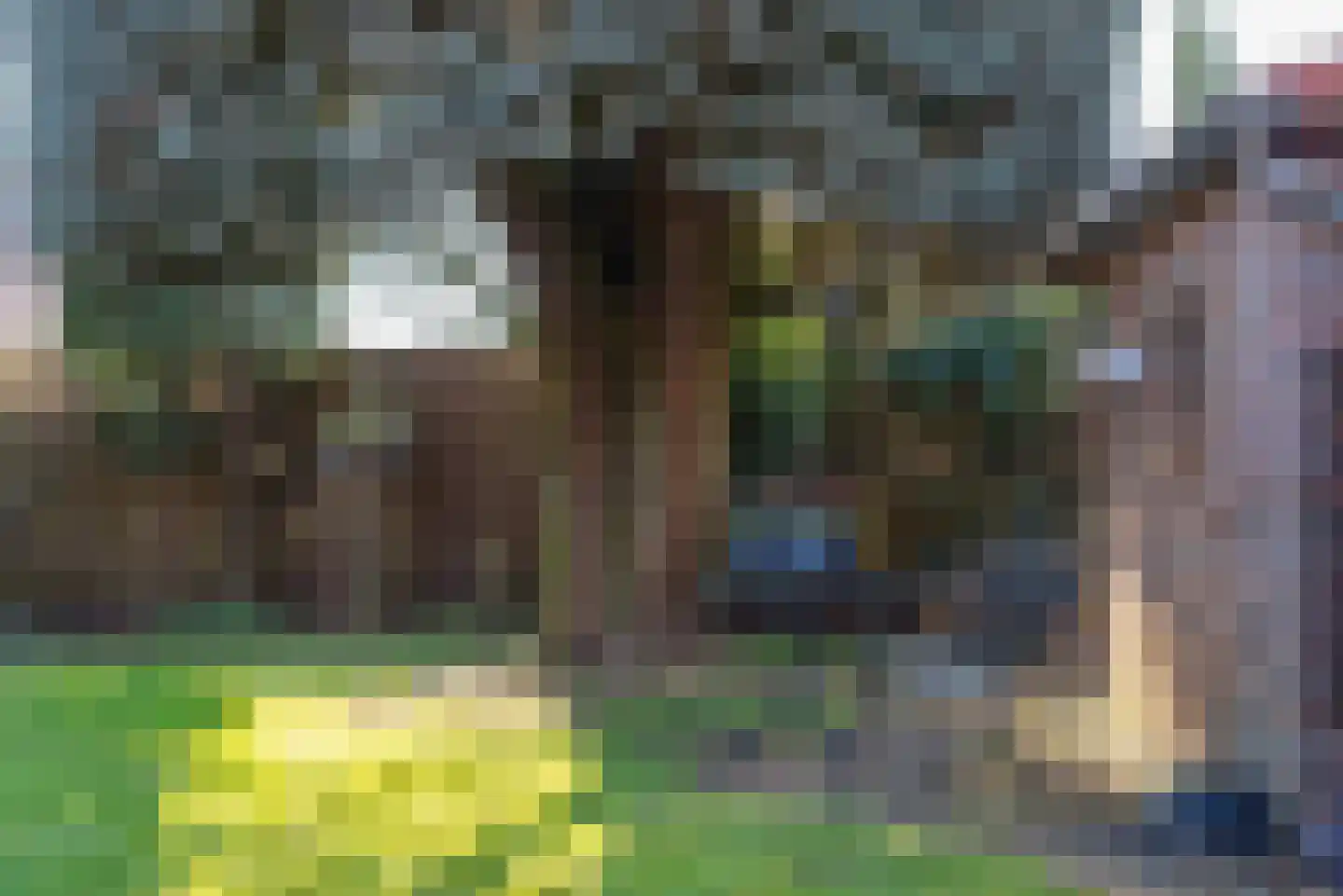 Groen van Prinstererlaan 9 Doetinchem thumbnail 46