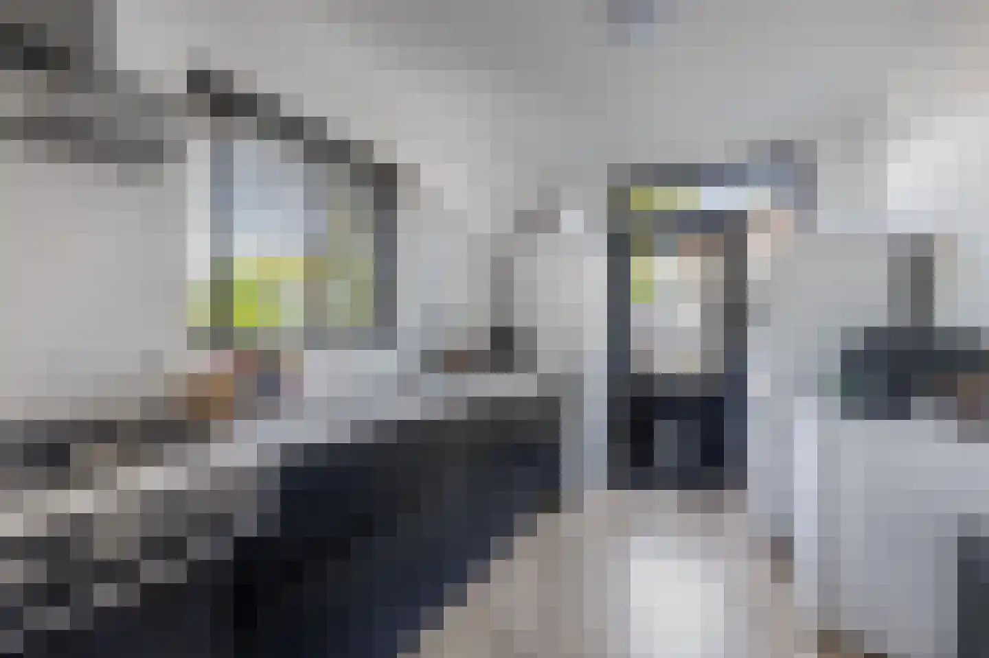 Groen van Prinstererlaan 9 Waalwijk thumbnail 10