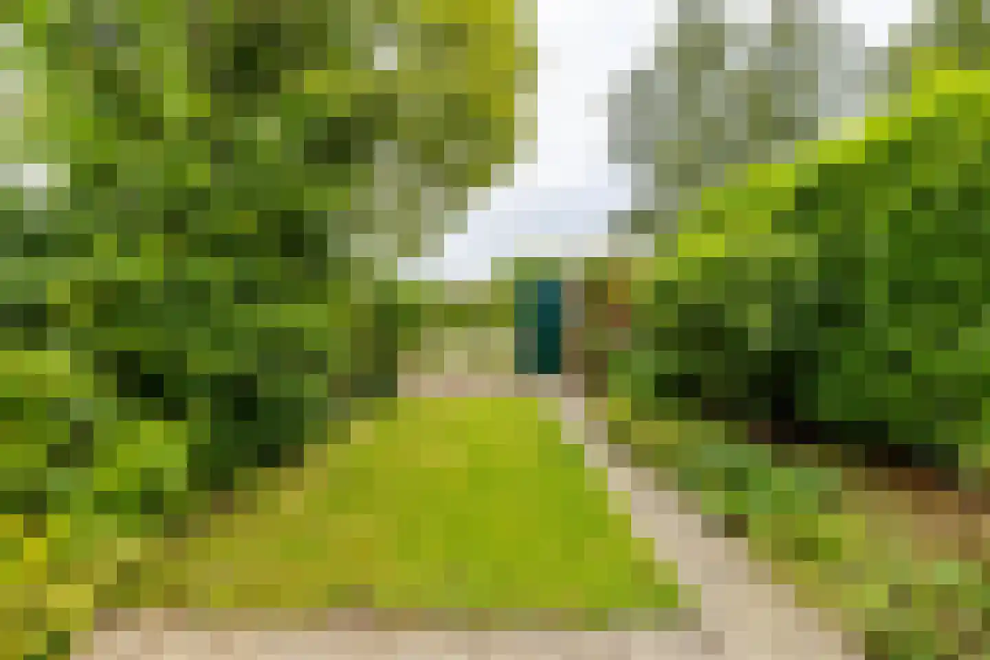 Groen van Prinstererlaan 90 Groningen thumbnail 14