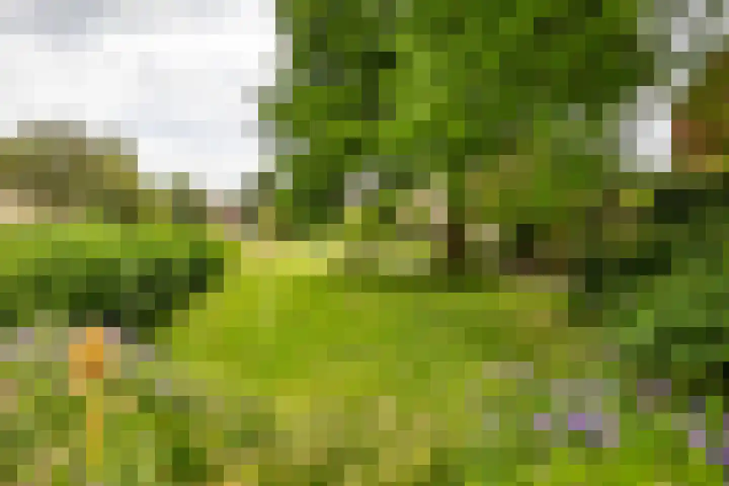 Groen van Prinstererlaan 90 Groningen thumbnail 31