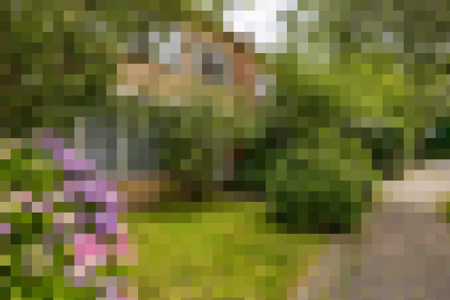Groen van Prinstererlaan 90 Groningen thumbnail 32