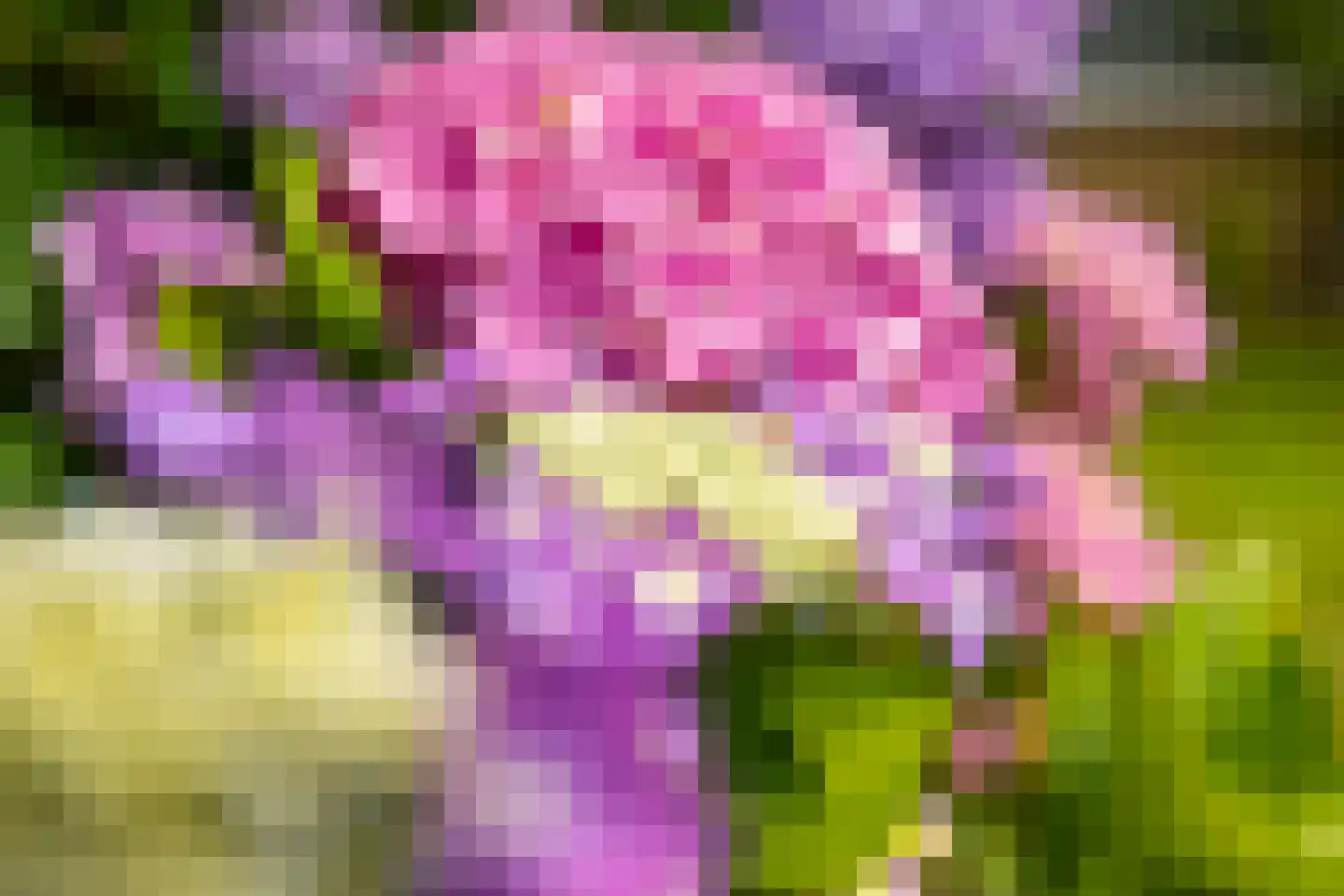 Groen van Prinstererlaan 90 Groningen thumbnail 33