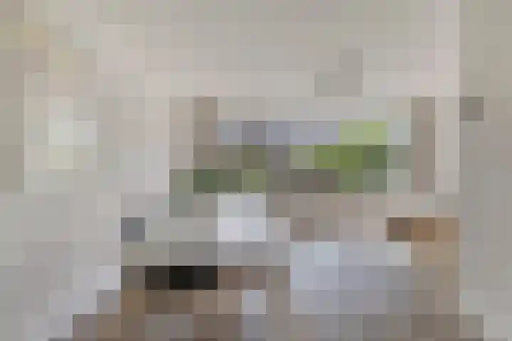 Groen van Prinstererlaan 91 's-Hertogenbosch thumbnail 10