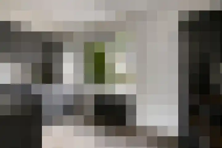 Groen van Prinstererlaan 91 's-Hertogenbosch thumbnail 15