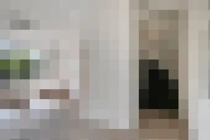 Groen van Prinstererlaan 91 's-Hertogenbosch thumbnail 17
