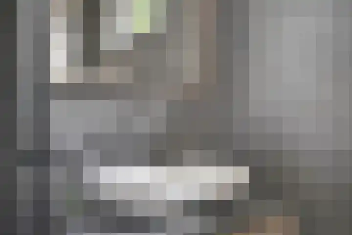 Groen van Prinstererlaan 91 's-Hertogenbosch thumbnail 28