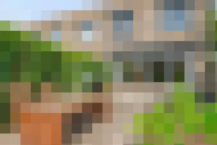 Groen van Prinstererlaan 91 's-Hertogenbosch thumbnail 29