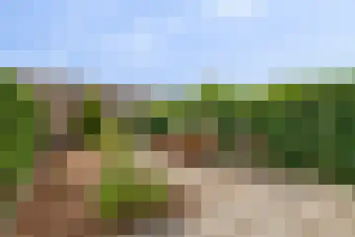 Groen van Prinstererlaan 91 's-Hertogenbosch thumbnail 31