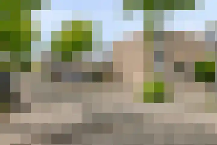 Groen van Prinstererlaan 91 's-Hertogenbosch thumbnail 6