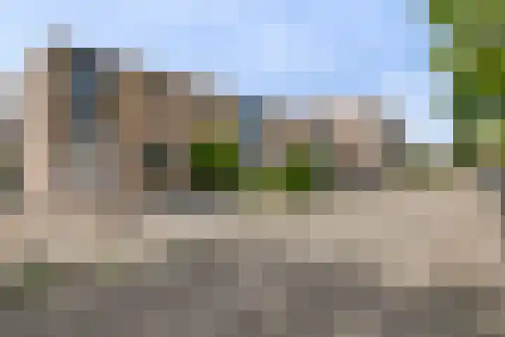 Groen van Prinstererlaan 91 's-Hertogenbosch thumbnail 7