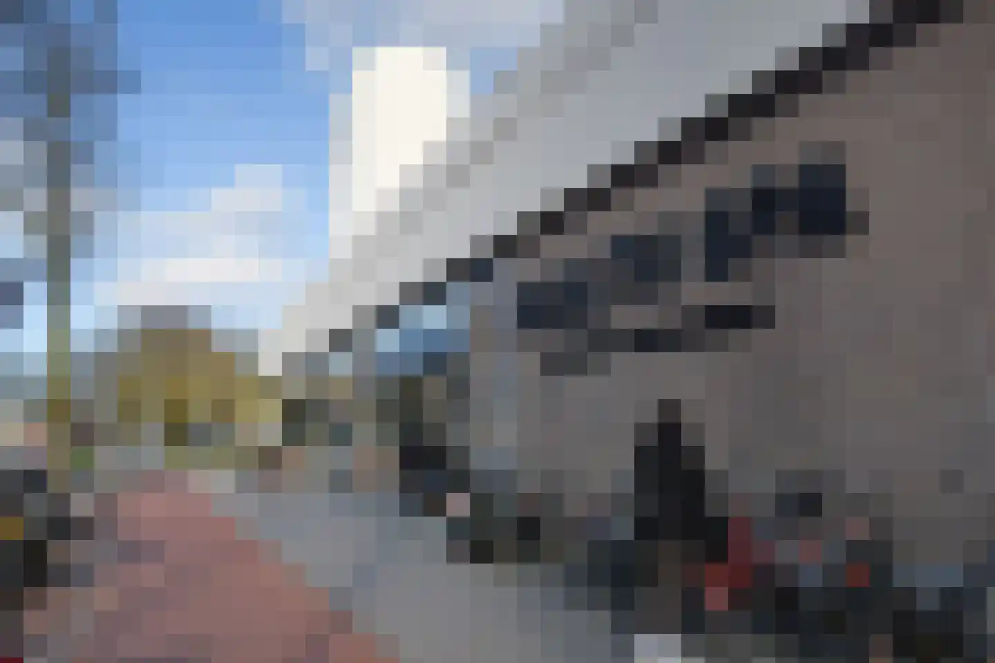 Groen van Prinstererlaan 95 Den Haag thumbnail 48