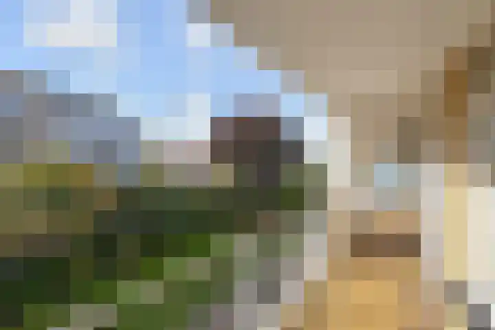 Groen van Prinstererlaan 99 Den Haag thumbnail 17