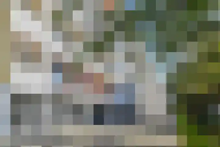 Groen van Prinstererlaan 99 Den Haag thumbnail 32