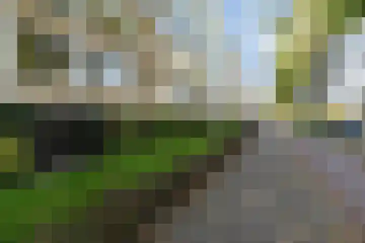 Groen van Prinstererlaan 99 Den Haag thumbnail 36