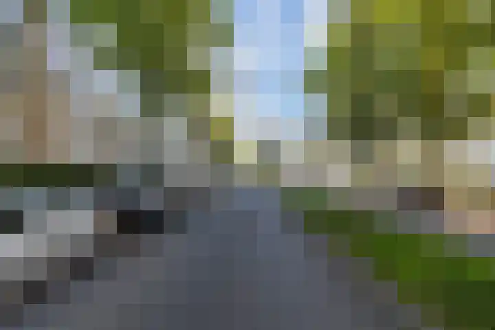 Groen van Prinstererlaan 99 Den Haag thumbnail 37