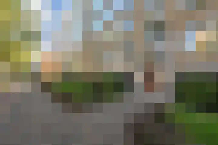 Groen van Prinstererlaan 99 Den Haag thumbnail 7