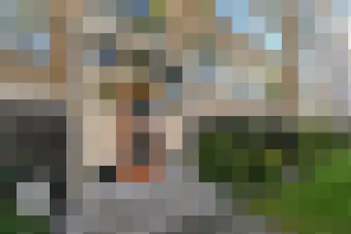 Groen van Prinstererlaan 99 Den Haag thumbnail 8