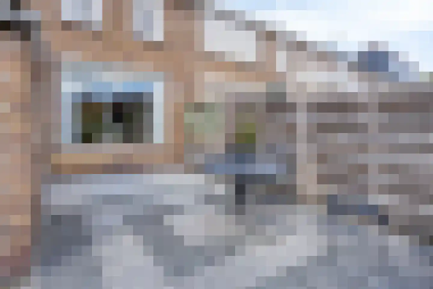 Groen van Prinsterersingel 20 Gouda thumbnail 16