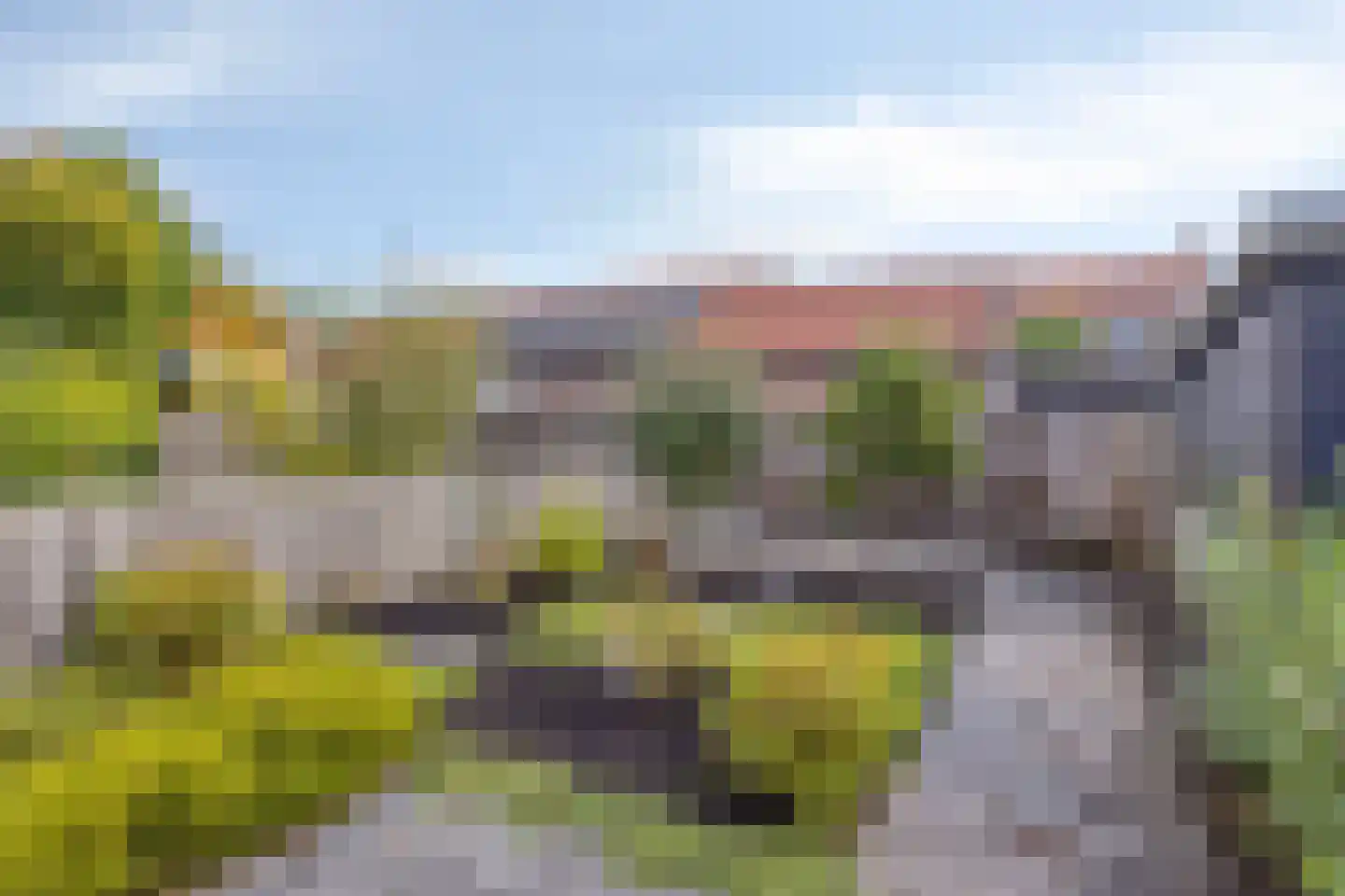Groen van Prinsterersingel 20 Gouda thumbnail 17