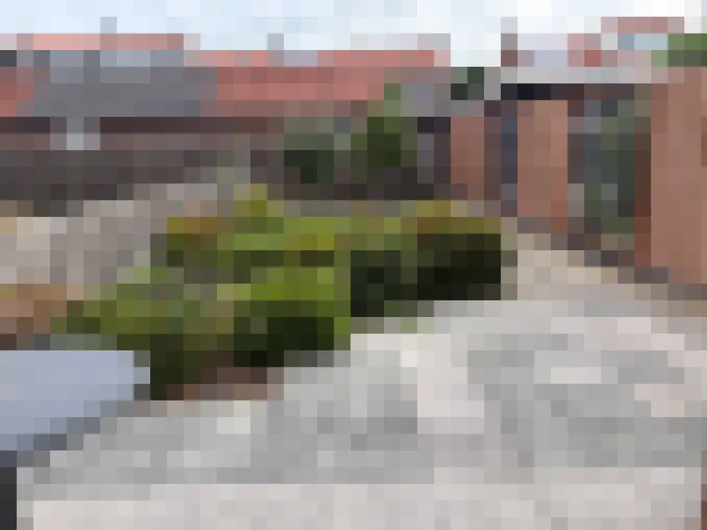Groen van Prinsterersingel 20 Gouda thumbnail 17