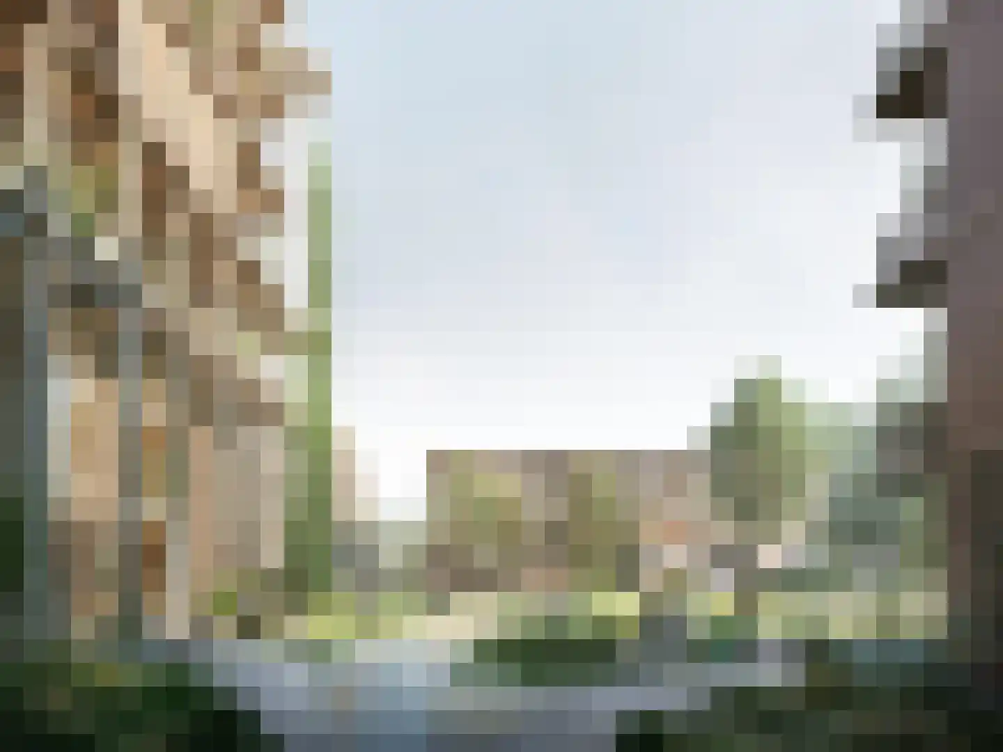 Groen van Prinsterersingel 22 Gouda thumbnail 5